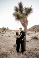 Evan & Carol Engagement