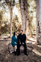 Karen & Andy Engagement